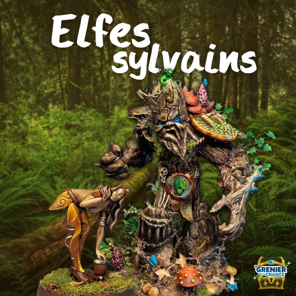 BloodBowl - Equipe elfe de 1988