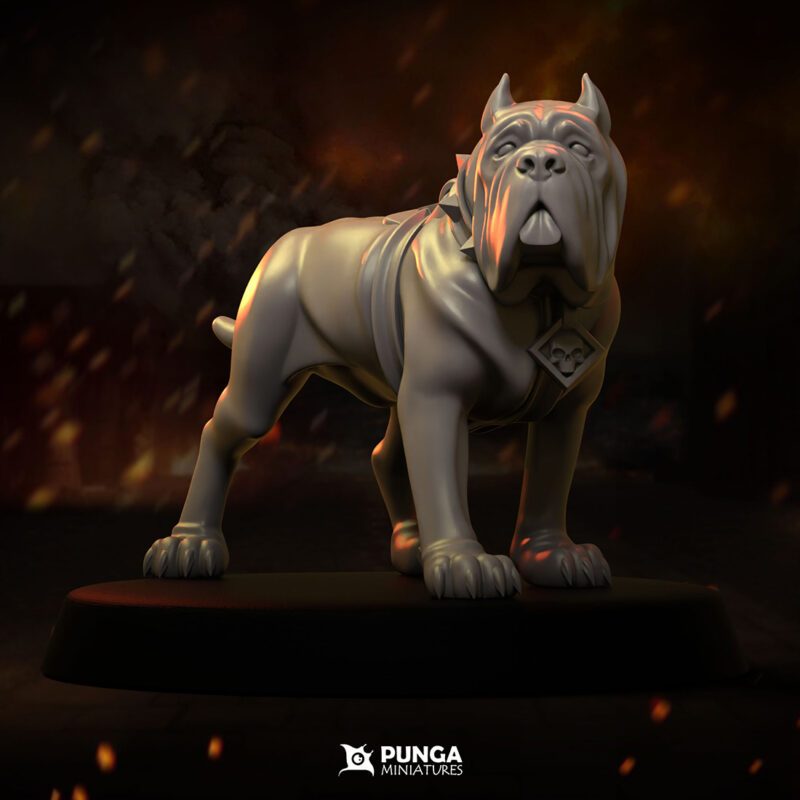 Chien de chasse