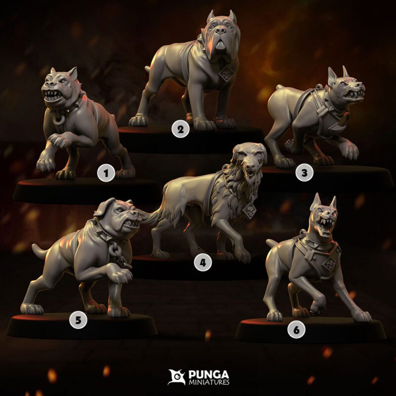 6 chiens de chasse