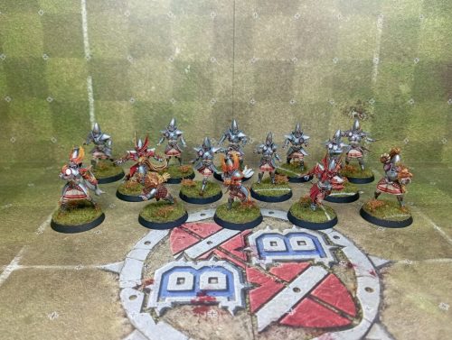 Hauts-elfes - BruteFun miniatures - Manu A