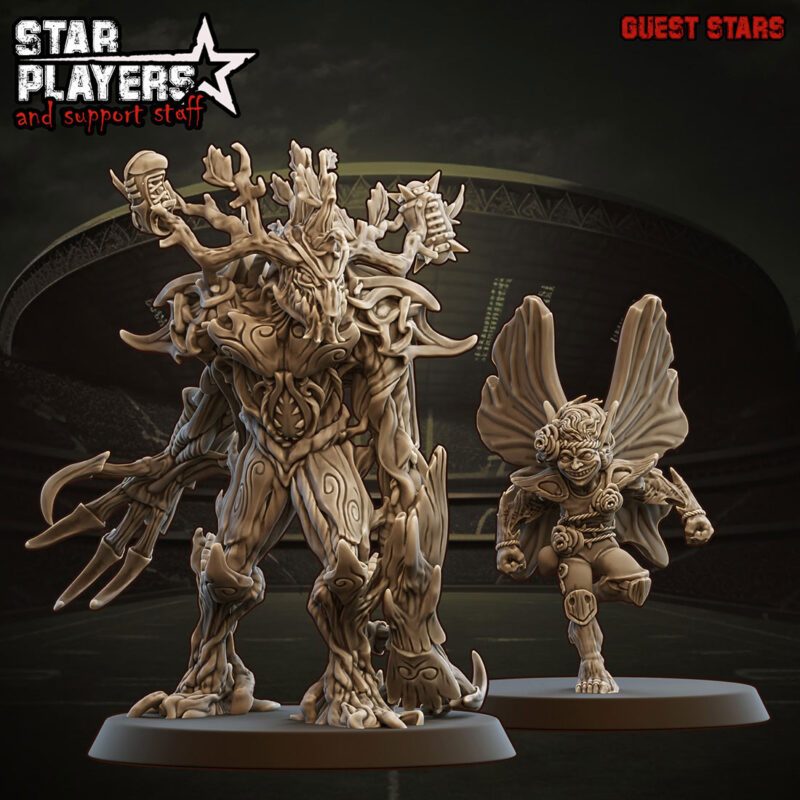 Jeune érable et esprit de la vigne - Stars players